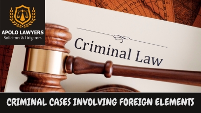  Criminal Cases Involving Foreign Elements