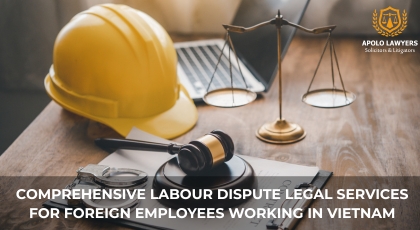 Comprehensive Labour Dispute Legal Services for Foreign Employees working in Vietnam