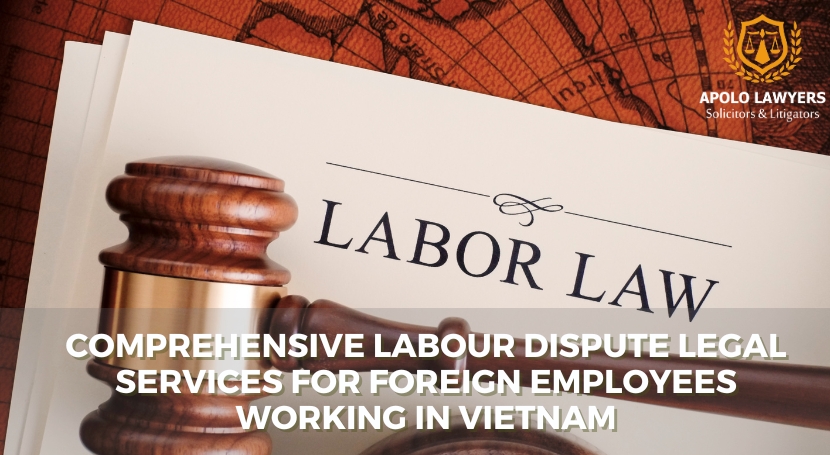 Comprehensive Labour Dispute Legal Services for Foreign Employees working in Vietnam