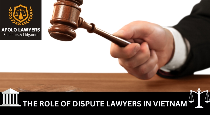  The - role - of - dispute - lawyers - in - Vietnam - 01