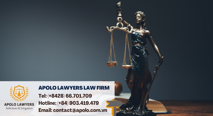  The - role - of - dispute - lawyers - in - Vietnam - 02